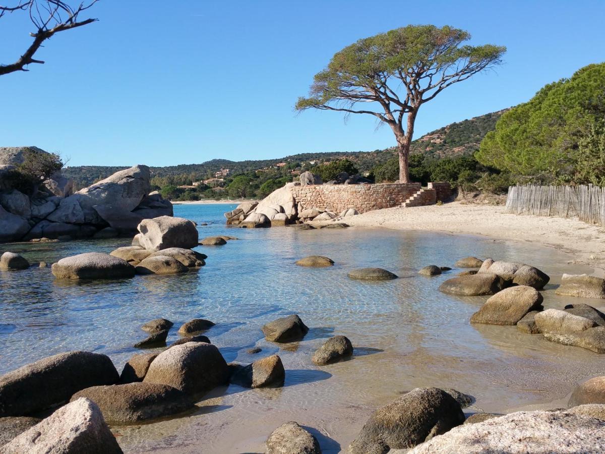 Résidence Liccia di Furu Porto Vecchio Exterior foto